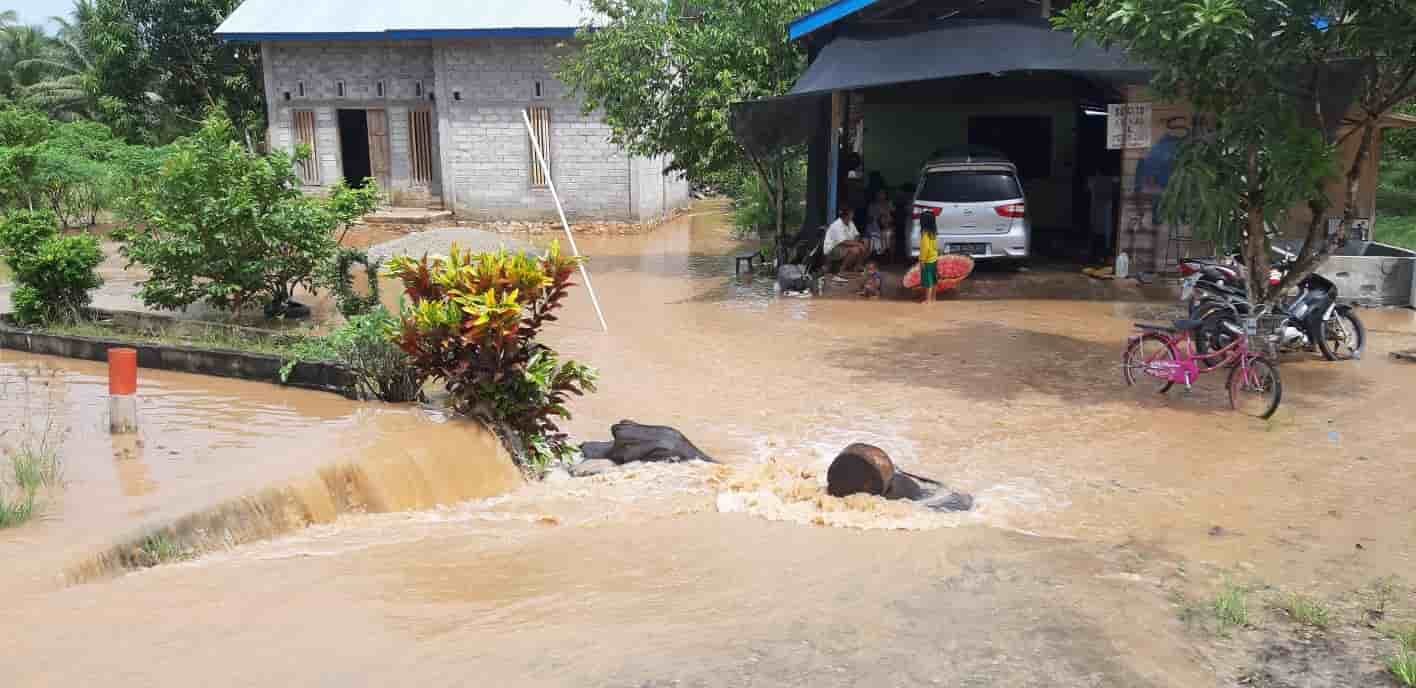 Cinque Terre